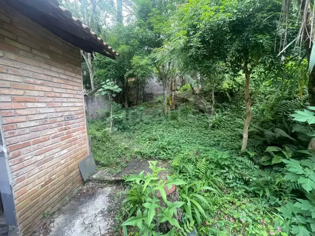 Terreno no Vista Alegre