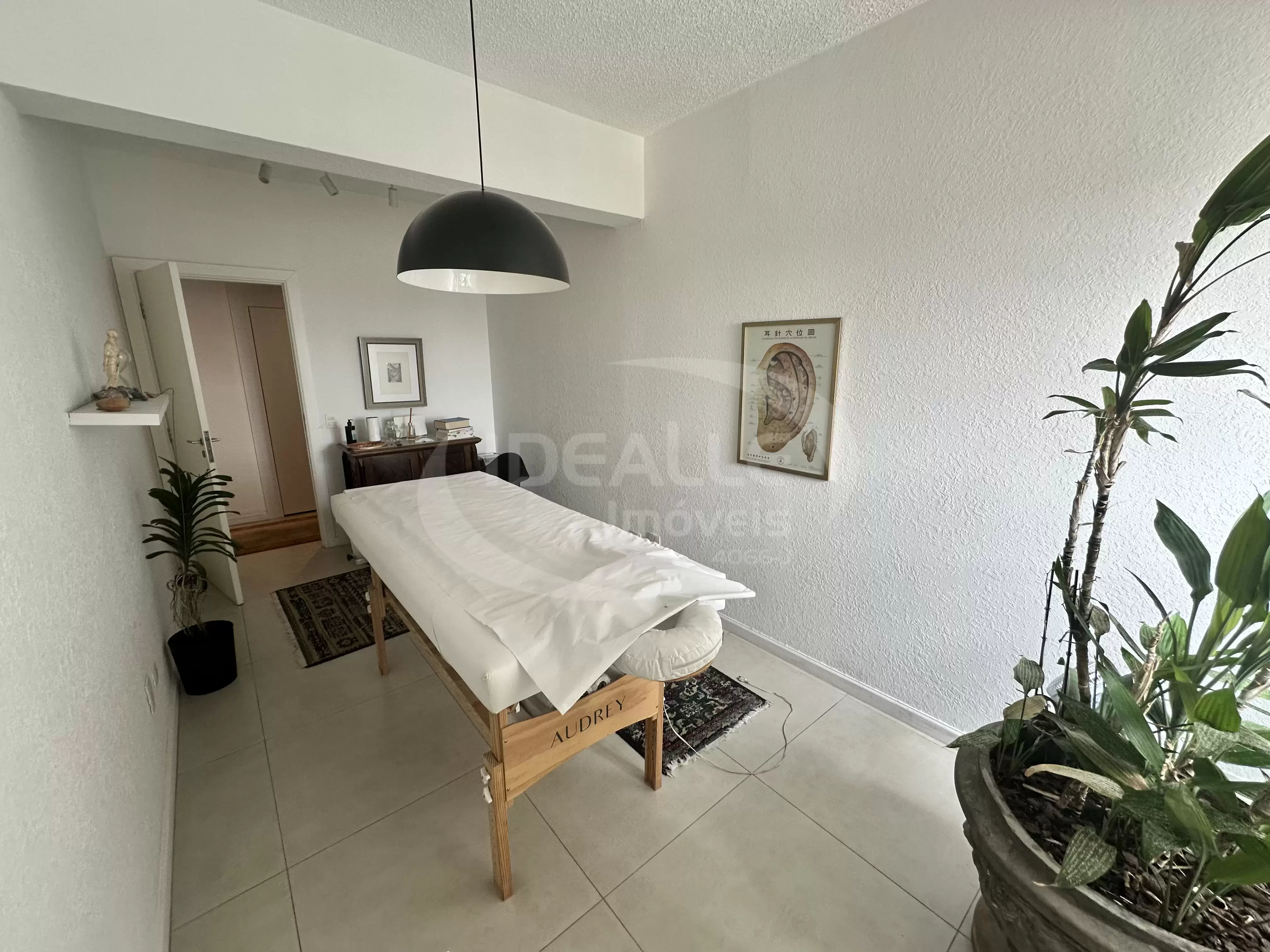 Ed. Champagnat Premium